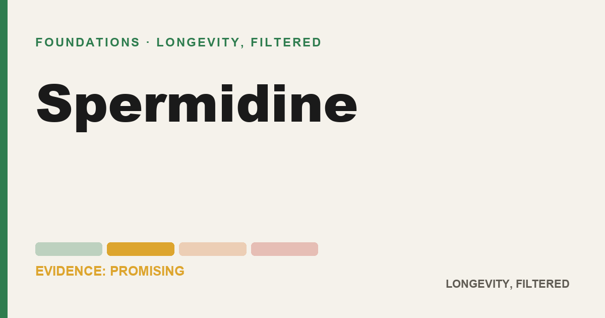 Spermidine, evidence-rated longevity guide