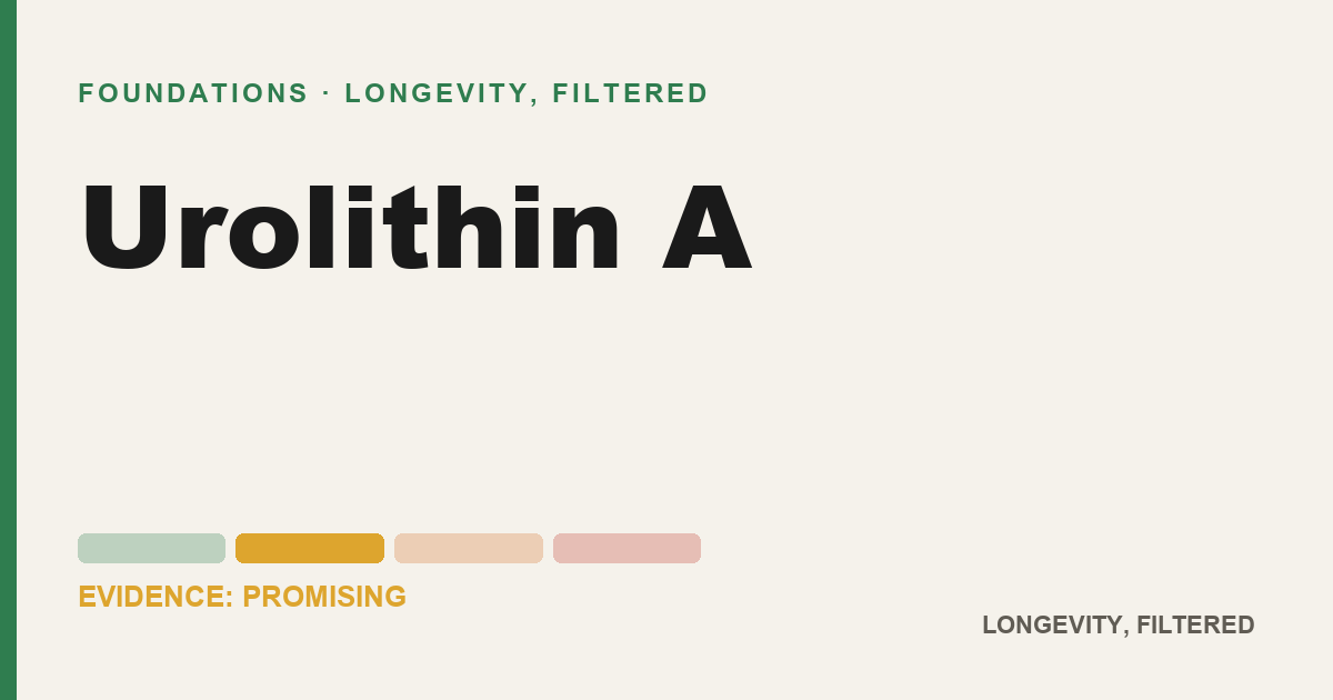 Urolithin A, evidence-rated longevity guide
